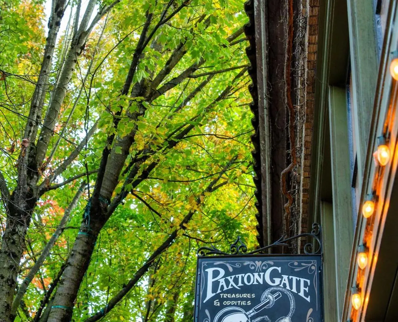 Stay Portland - Luxury Living On Nw 23Rd Ave, Walk Score 99